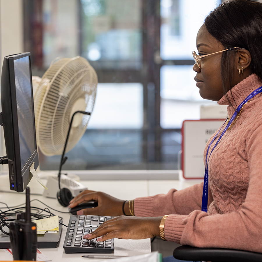 Female Harrow Weald staff member looking at a computer, wearing a pink jumper.